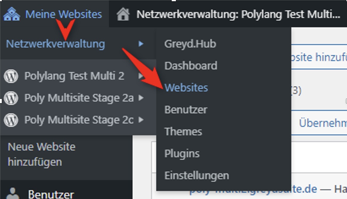Backend screenshot of a multisite