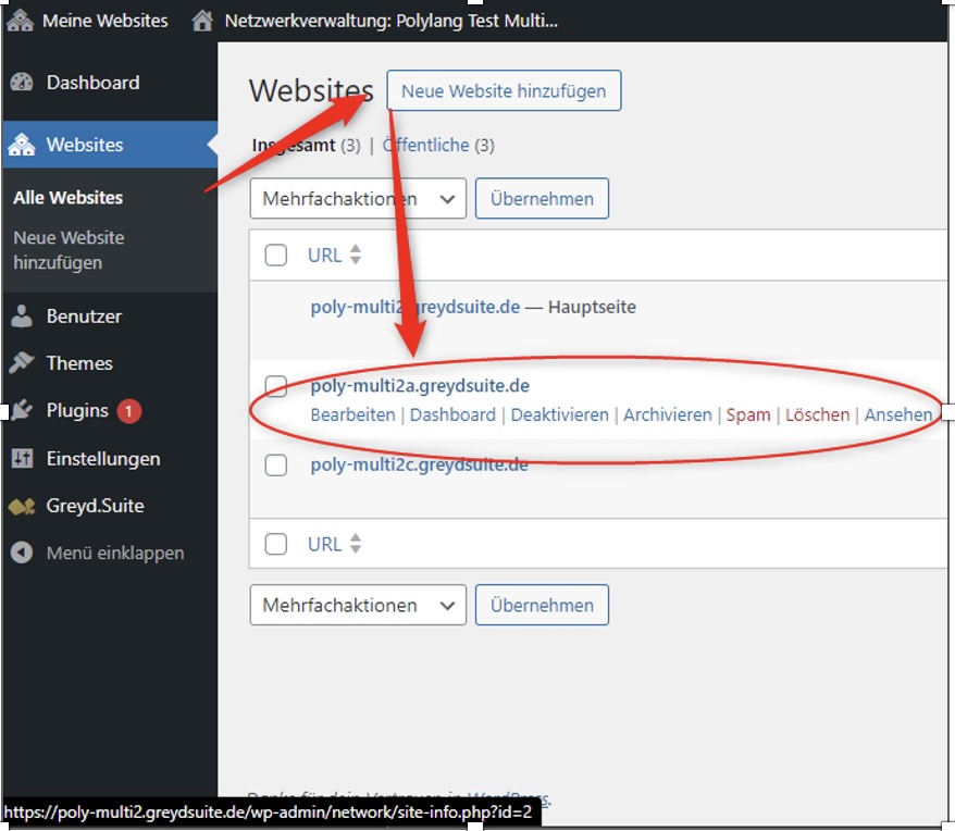 Backend screenshot showing a .de Polylang domain