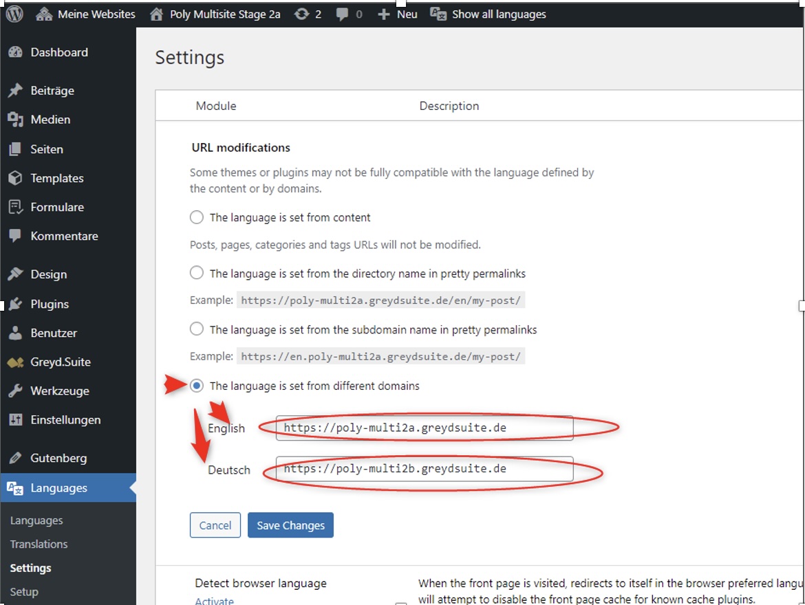 Polylang URL Modification Settings