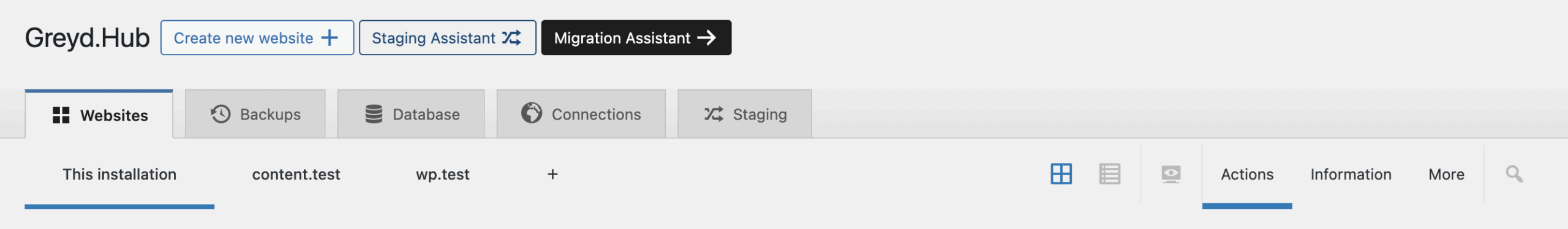 Screenshot featuring the website tab in the Greyd Hub, as explained in the paragraphs before and after.