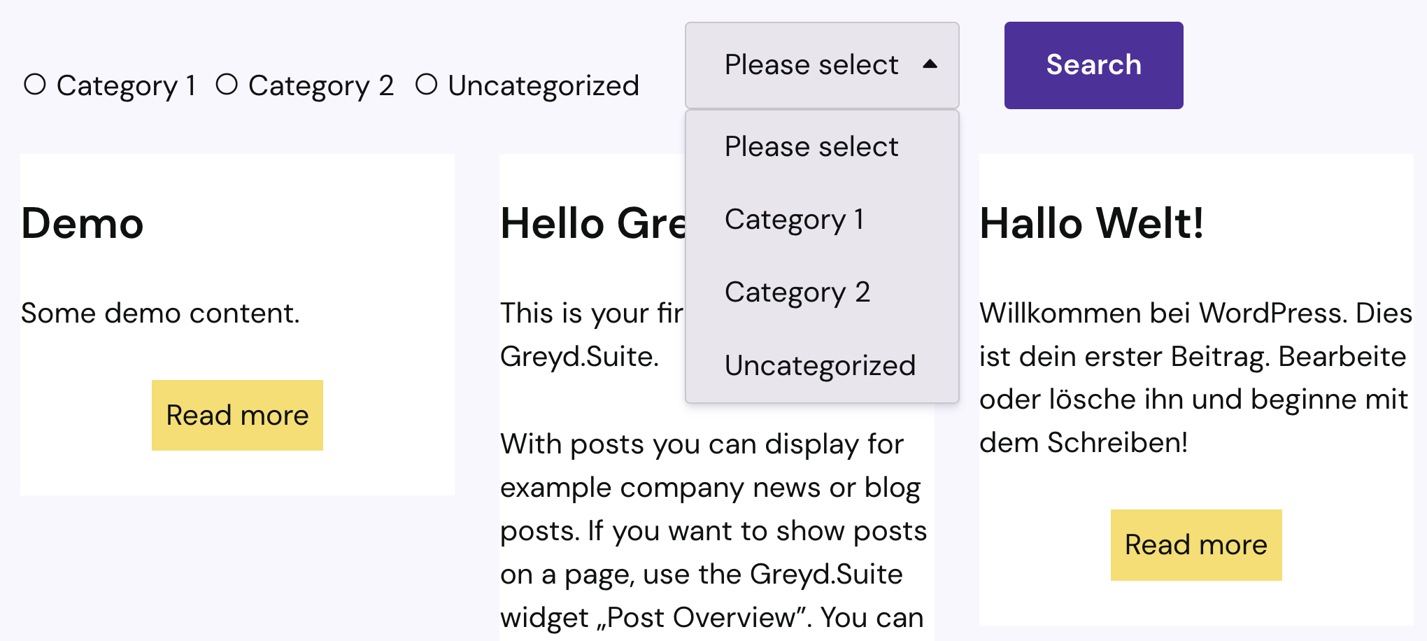 Screenshot of the frontend display with radio buttons and dropdown examples.