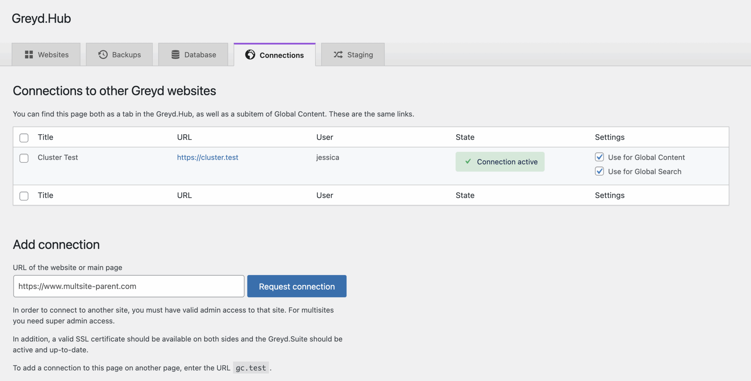Screenshot of the Connections Tab, further explained in the following paragraphs
