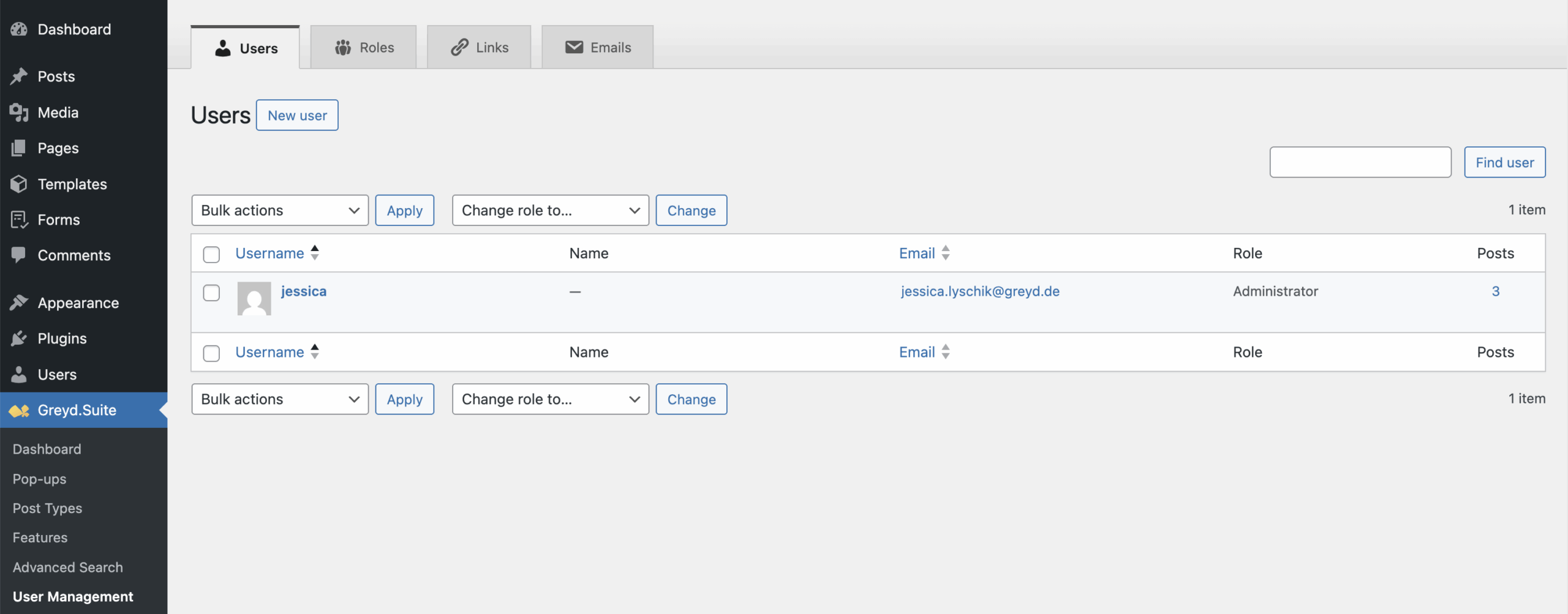 Screenshot of the User management page with Users tab, described in the next paragraph.